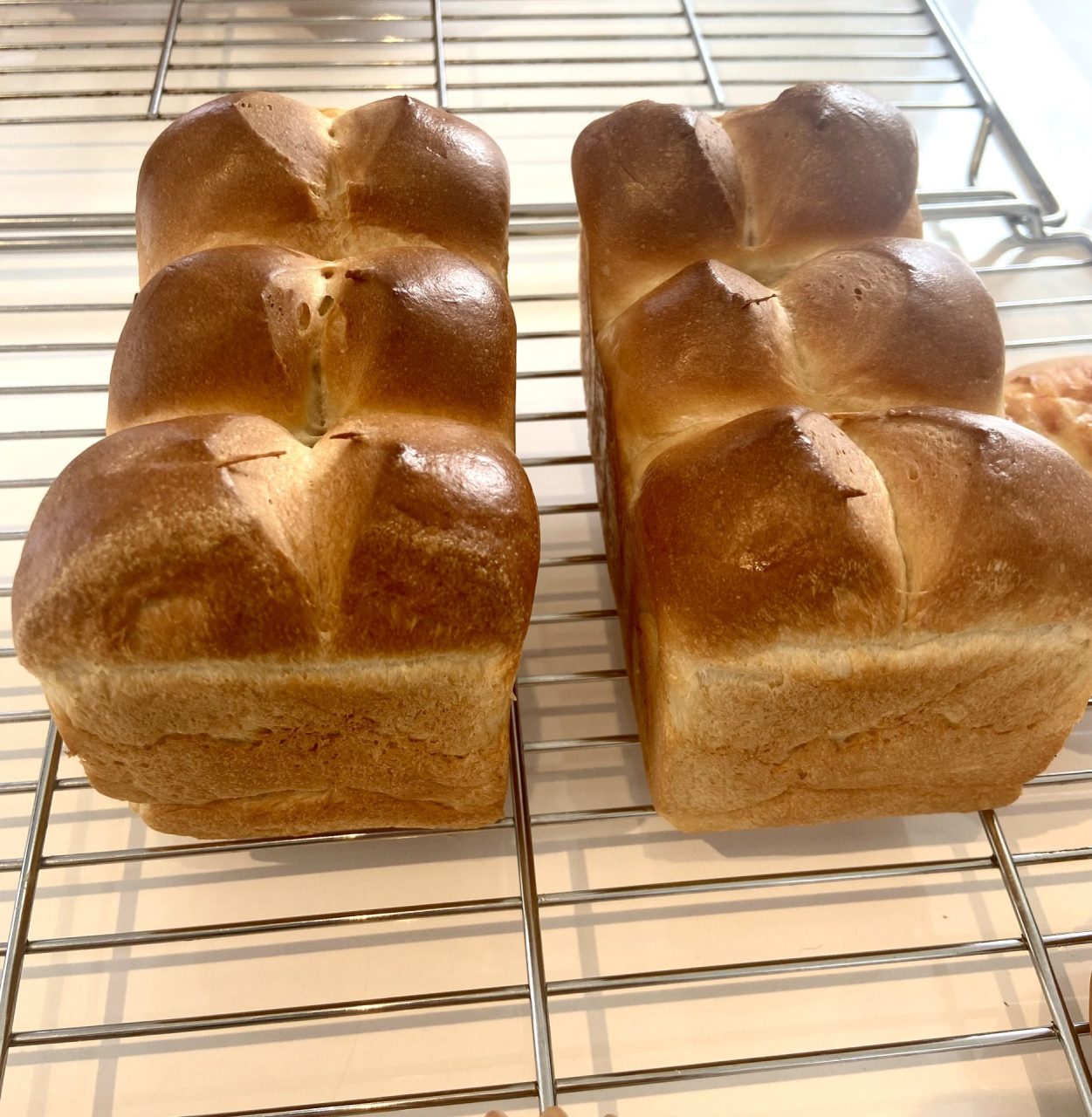 ミーレオーブンを使ってパン作り体験しませんか？